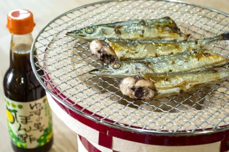 古座川町ゆずポン酢 & 北山村じゃばらぽん酢 の2種セット【njb362f】