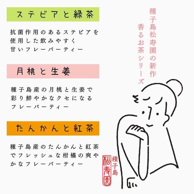 香る 紅茶 フレーバー ティー 「 月桃 と 生姜 」４袋（ 種子島 松寿園 ）  NFN524 【300pt】