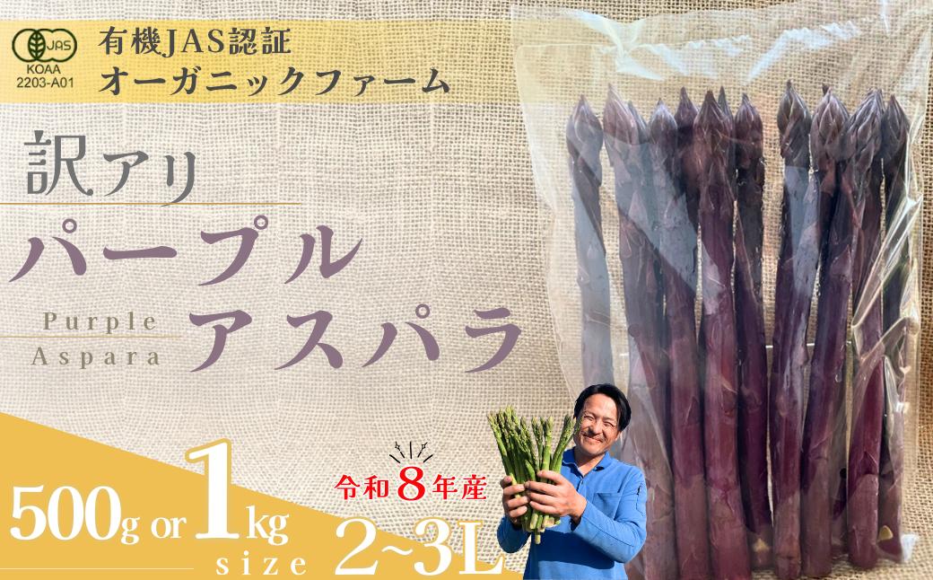 
                  【先行予約】【訳あり】オーガニック パープルアスパラガス   2L～3L 500g or 1kg【オーガニックアスパラ 有機JAS認証 パープルアスパラガス 2L～3Lサイズ 新鮮野菜 産地直送 500g 1kg 春野菜 自然栽培 循環型農法  甘いアスパラガス 香り豊か 太陽の恵み 大地の恵み 野菜ギフト 旬の野菜 お取り寄せ野菜 訳あり】
                