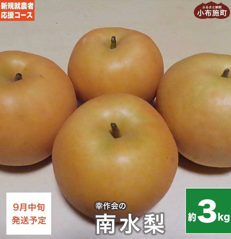 【ふるさと納税】梨 南水 約3kg ［新規就農者応援コース 幸作会］ 梨 なし フルーツ 果物 長野県産 信州産 数量限定 令和7年産 【2025年9月中旬発送】