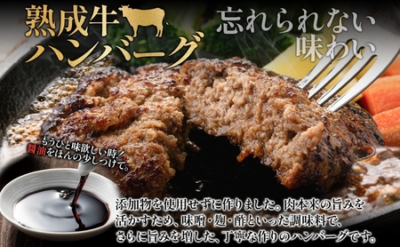 月形熟成牛セット 添加物不使用【ハンバーグ120g×5 ソーセージ30g×4】