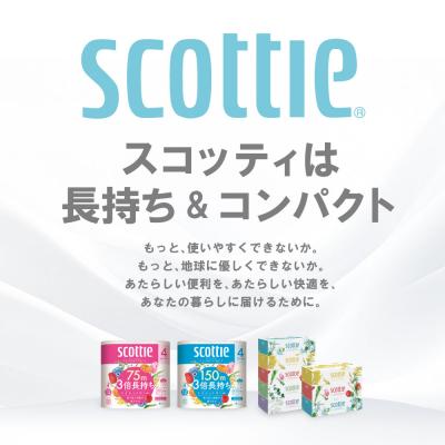 ふるさと納税 八代市 ティッシュ 250組 15箱 フラワーボックス  日用品 スコッティ_186-6425 |  | 01