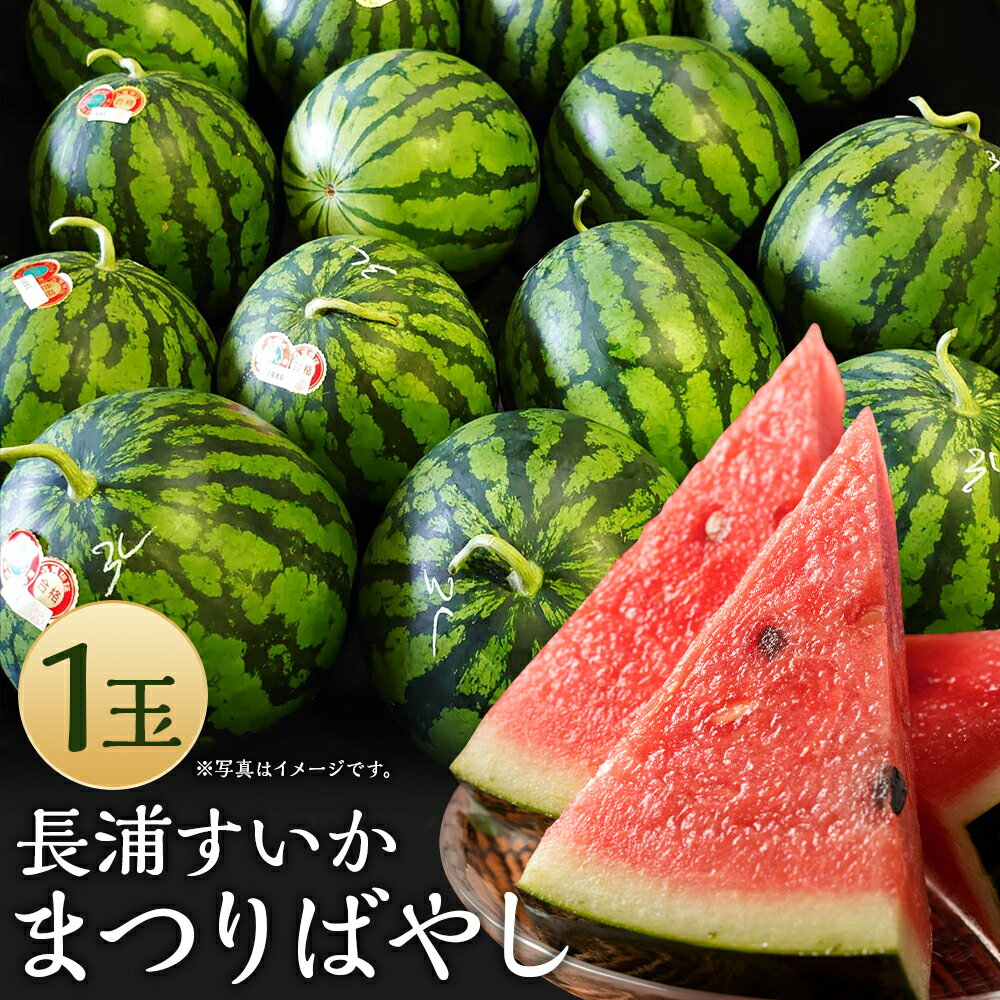 【ふるさと納税】長浦すいか まつりばやし 1玉 Lサイズ 約6kg 西瓜 スイカ 果物 フルーツ 長崎市産 長崎県産 九州産 送料無料【2025年6月下旬～8月下旬に順次発送予定】