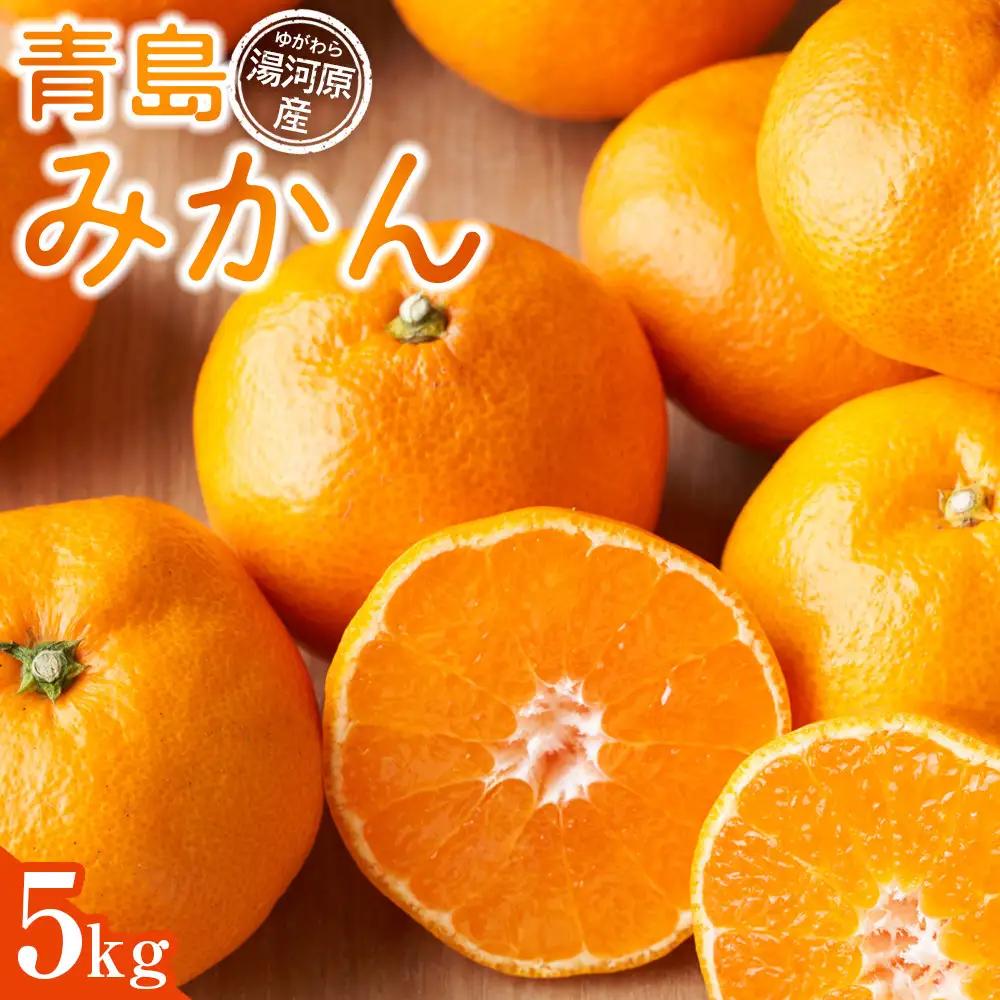 青島みかん5kg | 湯河原町 みかん 柑橘 旬 青島みかん 5kg フルーツ