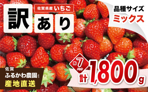 
【先行予約｜ふるかわ農園】佐賀県小城市産「訳ありイチゴ」1,800g
