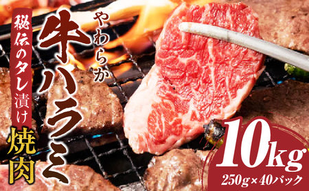 やわらか牛ハラミ焼肉　秘伝のタレ漬け10kg(250g×40P) | 牛肉 焼肉 タレ 漬け 秘伝 柔らかい 味付き やきにく ハラミ 希少 小分け 厚切り 冷凍 BBQ バーベキュー 香川県 三木町