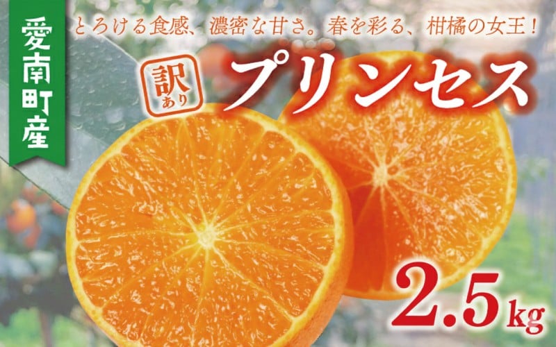 
                  プリンセス みかん 【農家直送】＜愛媛限定種＞（とろける食感/濃厚な甘み）1.5万円2.5kg 紅プリンセス と 同品種 紅まどんな と 甘平 の交配種 愛果48号 有名 高級 人気 ブランド ミカン 蜜柑 柑橘 果物 フルーツ 国産 愛媛 愛南町 和家農園
                