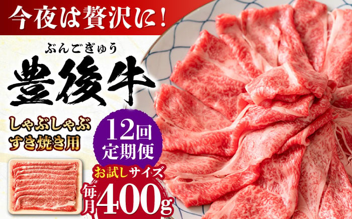 
            【全12回定期便】おおいた豊後牛 しゃぶしゃぶすき焼き用（肩ロース・肩バラ・モモ）400g 日田市 / 株式会社MEAT PLUS　 牛 和牛 [AREI064]
          