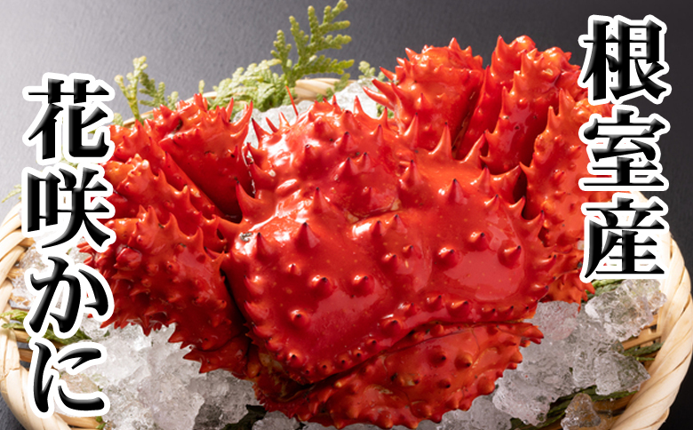＜12月21日決済分まで年内配送＞【北海道根室産】花咲かに400g前後～600g前後×2尾 A-70030