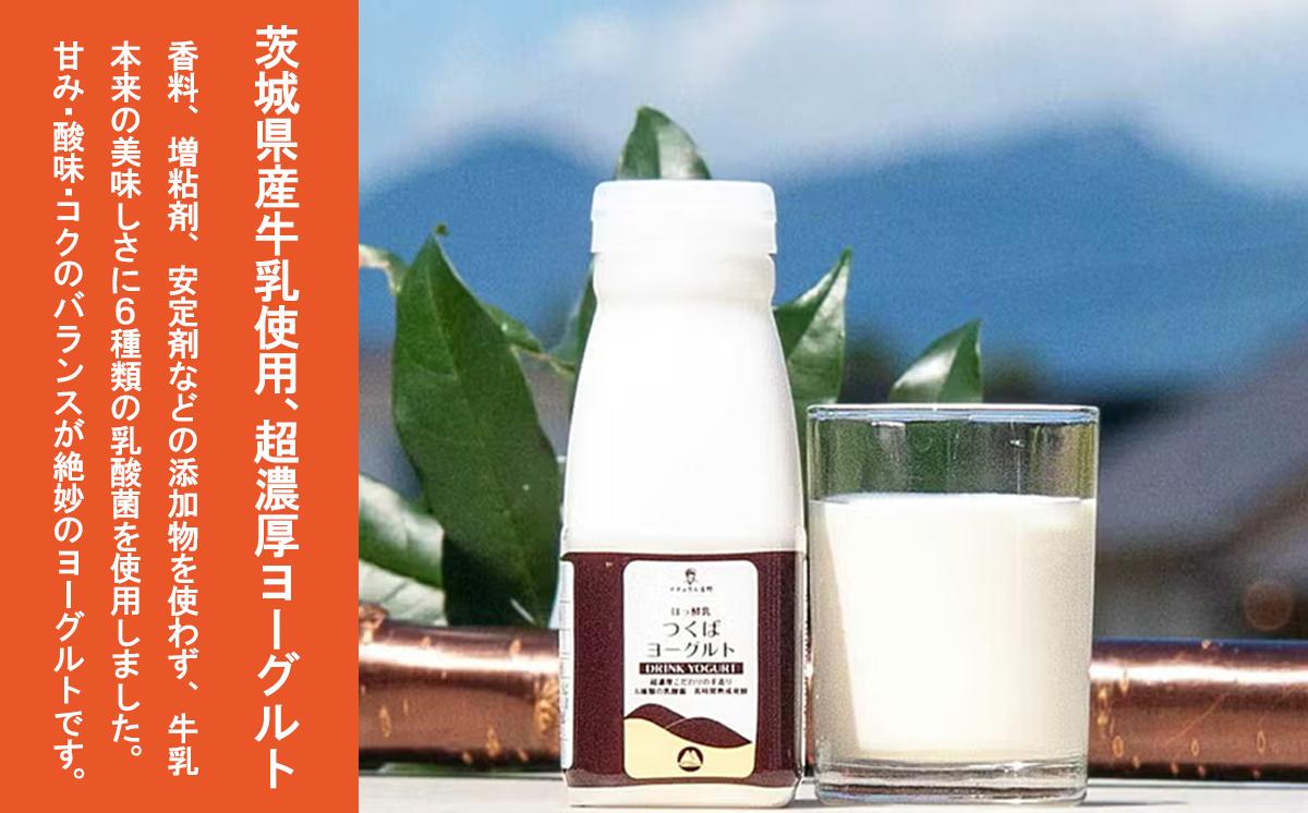 炭火使用 筑波ハム人気製品 スモークレバー(100g×5P)とドリンクヨーグルト(200ml×1本)【 豚肉 豚 ぶた肉 燻製 レバー つまみ 熟成 茨城県 つくば市 】
