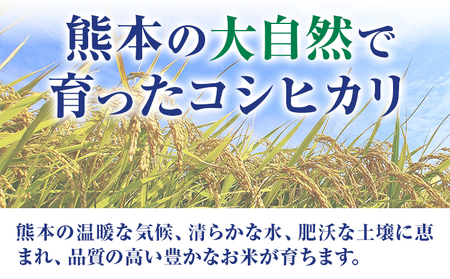 米 白米 コシヒカリ 令和8年産 5kg 森田農園