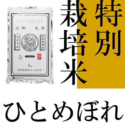 ふるさと納税 奥州市 【精米】江刺金札米ひとめぼれパック米 5kg　令和6年産 特別栽培米 [A0034] |  | 01