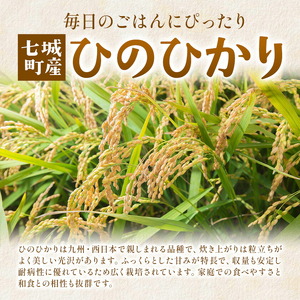 【精米】【令和7年産】有機JAS 七城産 ひのひかり 5kg《30日以内に出荷予定(土日祝除く)》