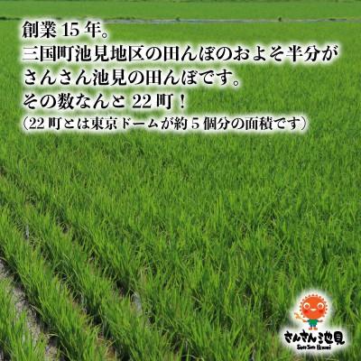 ふるさと納税 坂井市 【令和6年産先行受付】ハナエチゼン 5kg　坂井市三国町産・こだわりの精米対応 白米[A-0213] |  | 03
