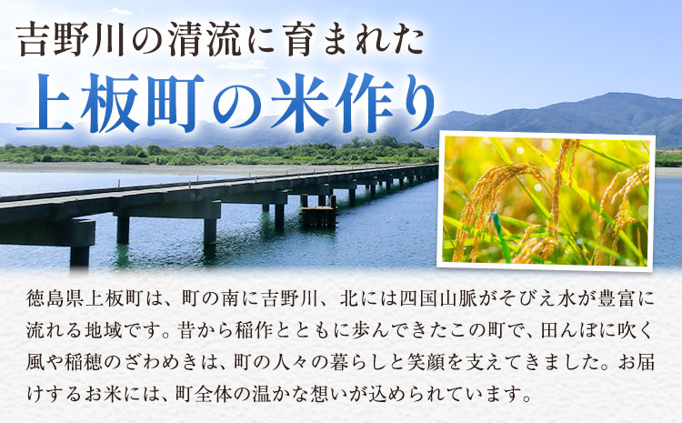 もちもち美味しい！ 上板町ふるさと米 精米 20kg 《10月中旬-11月末頃出荷》徳島県 上板町 お米 米 白米