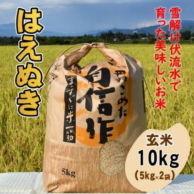 ふるさと納税 飯豊町 はえぬき玄米10kg　山形県飯豊町産【令和8年産】