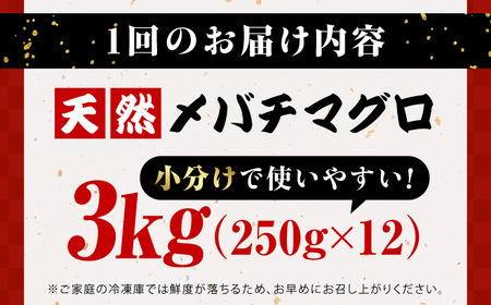【全12回定期便】まぐろ ねぎとろ 3kg（500g×6パック）【本まぐろ直売所】[AKAK043]
