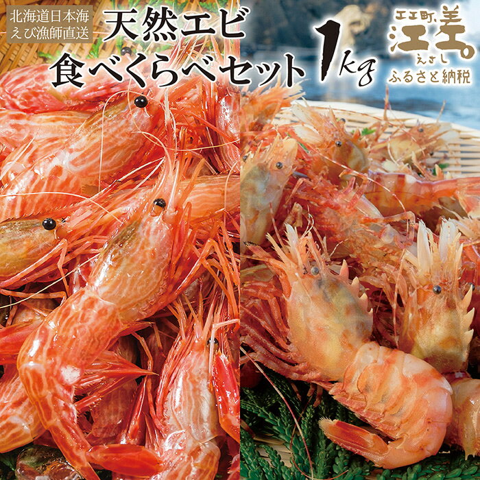 【ふるさと納税】【早期予約・12月中旬以降 順次出荷予定】北海道産 天然えび食べくらべセット　計1kg　濃厚な甘みの日本海シマエビ（大）500g＆飽きのこない旨みのガサエビ500g　国産　江差近海産　エビかご漁師直送　最良品厳選　生食可　お刺身　エビフライ　海老