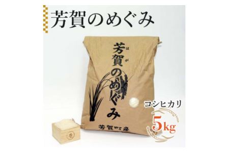 令和6年産「芳賀のめぐみ」コシヒカリ　5kg 袋入り　栃木県芳賀町産 ｜ 米 お米 ご飯 国産 送料無料 ※離島への配送不可