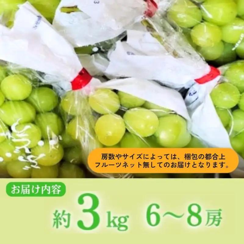 【2026年産】 シャインマスカット 3kg ぶどう 葡萄 ブドウ マスカット 果物 くだもの フルーツ デザート 旬の果物 旬のフルーツ 長野