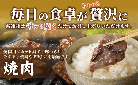 牛ヒレ塩麹タレ漬け1.5kg(焼肉用カット)≪みやこんじょ特急便≫_12-3314-Q_(都城市) 