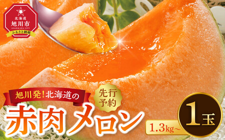 【先行予約】旭川発！北海道の赤肉メロン1玉（1玉標準 1.3kg以上）2026年6月下旬から発送開始予定 | メロン _05230