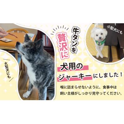 ふるさと納税 滝沢市 【訳あり】 無添加 愛犬用 牛タン ジャーキー 30g 【ASJフーズ】 |  | 01