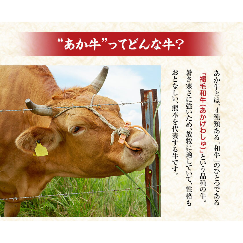 【6ヶ月定期便】熊本県産 あか牛 ハンバーグ 10個 南阿蘇食品 《お申込み月の翌月より発送開始》 定期 計6回お届け 牛肉 肉---sms_fmshbtei_23_76500_mo6num1---