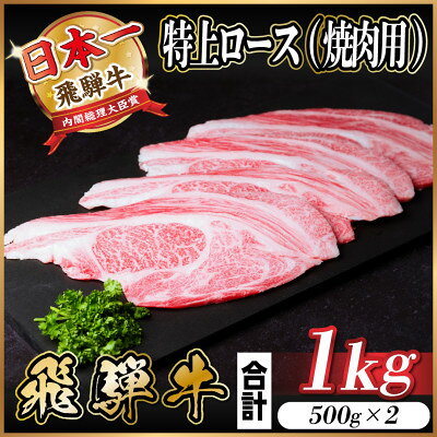 【ふるさと納税】飛騨牛 特上ロース(焼肉・BBQ用) 1kg(500g×2)　A5等級　黒毛和牛 小分け【配送不可地域：離島】【1543793】