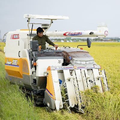 ふるさと納税 能美市 【令和7年産】石川県産コシヒカリ白米10kg×1袋漢方肥料米 |  | 02