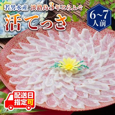 ふるさと納税 南あわじ市 【若男水産】淡路島3年とらふぐ活てっさ(6〜7人前)