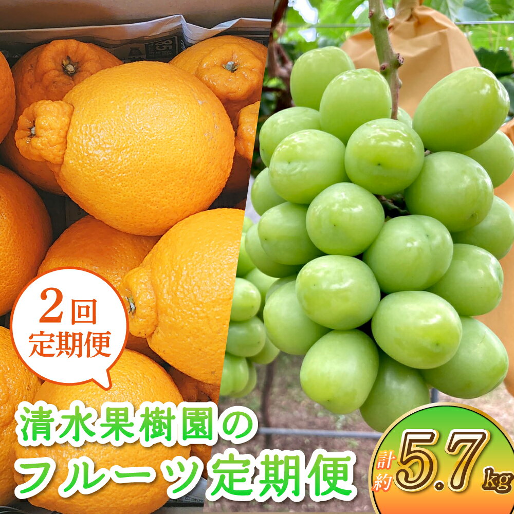 【ふるさと納税】【2回定期便】先行予約 清水果樹園のフルーツ定期便 不知火（約4.5kg）シャインマスカット（約1.2kg）計5.7kg しらぬい マスカット ぶどう 葡萄 種なし 柑橘 九州 熊本県 宇城市 フルーツ 旬 清水果樹園 【2026年3月上旬・7月下旬～8月中旬発送予定】