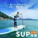 【ふるさと納税】 SUP 体験 大人1名様分 体験ツアー 石巻市 雄勝湾 海