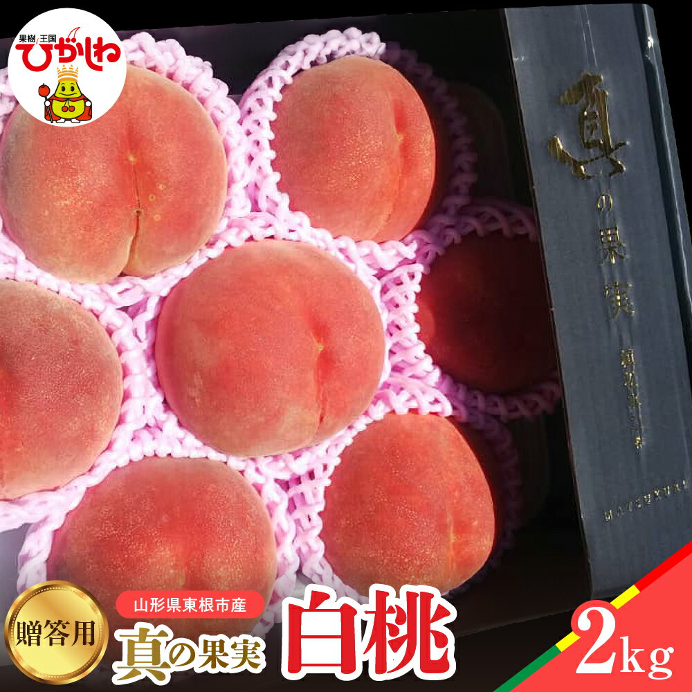 【ふるさと納税】 2025年産 先行予約 真の果実 白桃 贈答用 白桃 2kg / 桃 もも モモ ピーチ はくとう フルーツ 果物 くだもの 箱入り 化粧箱 化粧箱入り 農家直送 産地直送 お取り寄せ グルメ ご当地 特産 産地 直送 詰め合わせ セット 北海道 東根市