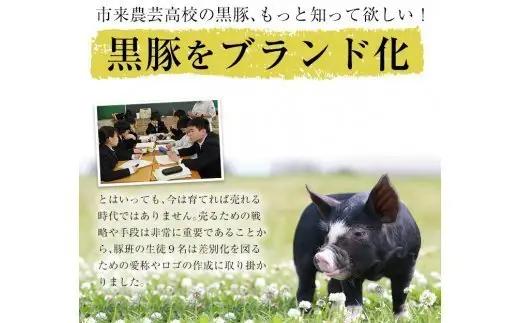 レンジでチン！金の桜黒豚 6食分「黒豚丼（180g×6袋）」【00-057-30】