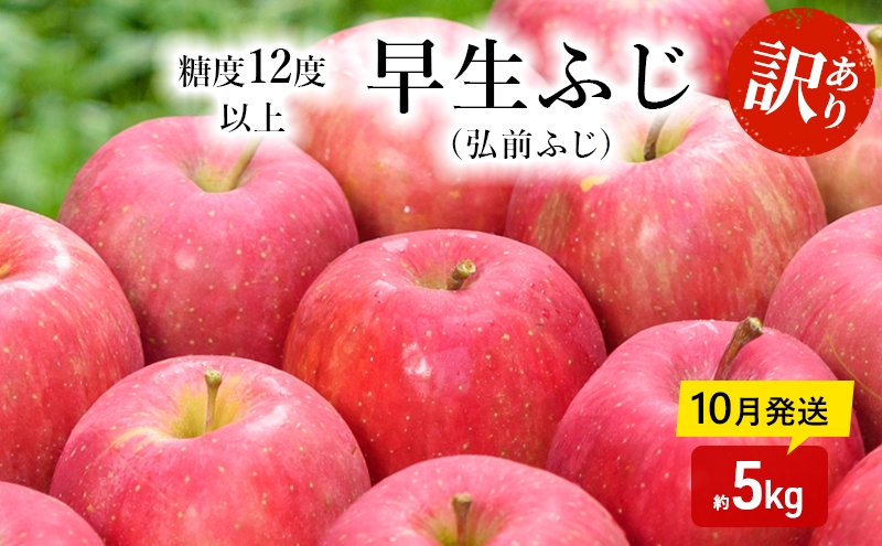 
                  りんご 【 10月発送 】( 糖度12度以上 ) 訳あり品 家庭用 早生ふじ ( 弘前ふじ ) 約 5kg 【 青森りんご 】
                