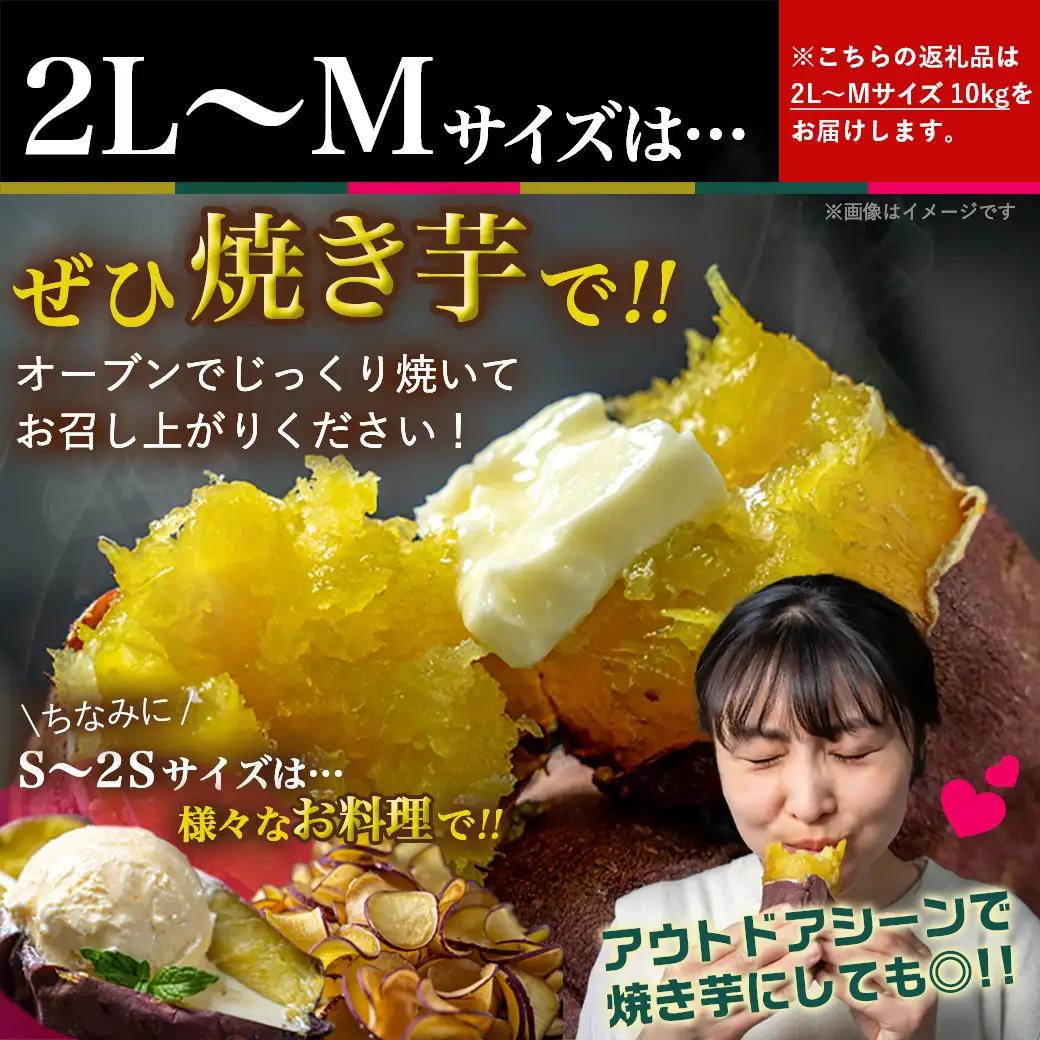 先行受付!【11月お届け】島津甘藷　熟成紅はるか 10kg(2L～M)_12-A7-001-10kg-11_(都城市) 島津甘藷 紅はるか 未選別 10kg 2L～M