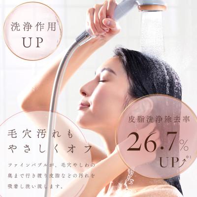 ふるさと納税 岐阜市 ピュアラスファイン【浄水機能付】カートリッジ2本セット　ファインバブルシャワーヘッド　洗浄&保湿作用 |  | 02
