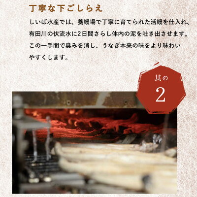 うなぎ蒲焼 4尾 & 蒲焼タレ 2本 セット 国産 安全 ふっくら うなぎ 特製 タレ 土用 丑の日 こだわり 蒲焼き 贈答 贈り物 ギフト 急速冷凍 うな丼 うな重 う巻き ひつまぶし うなむすび 