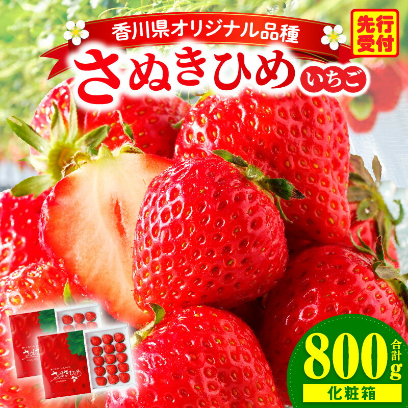 【ふるさと納税】三木町地域いちご部会『さぬきひめ』 400g（化粧箱入）×2箱 果物 フルーツ 苺 デザート 食後のデザート イチゴ 旬 おすすめ グルメ 季節 ギフト 果肉 農産物 おすそ分け アレンジ 旬の果物 贈答 贈り物 果実 パック 国産 冷蔵 香川県 三木町 送料無料