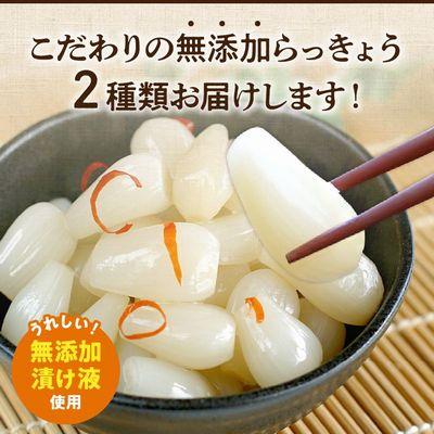 ふるさと納税 南九州市 鹿児島県産砂丘らっきょう漬けセット |  | 01
