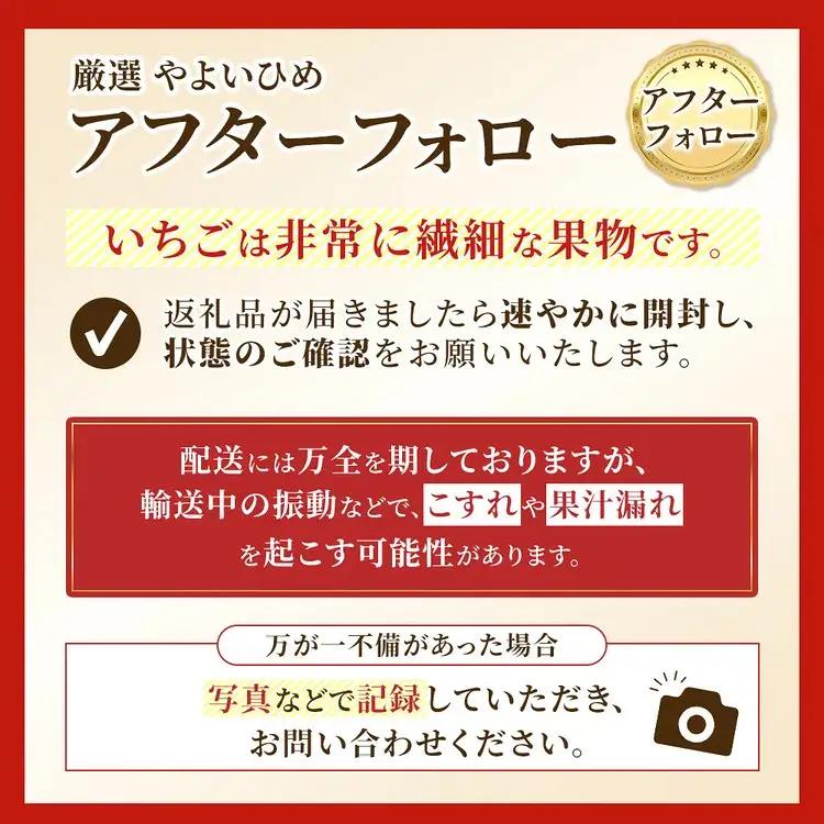 厳選 やよいひめ プレミアムギフトBOX 1箱 （3～4月発送） | いちご 大粒 高糖度 果物 フルーツ 苺 イチゴ くだもの 新鮮 朝採れ 朝どれ ギフト プレゼント 贈り物 国産 群馬県 伊勢崎