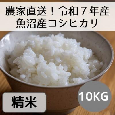 ふるさと納税 十日町市 【令和7年産】新潟県魚沼産コシヒカリ「山清水米」精米10kg