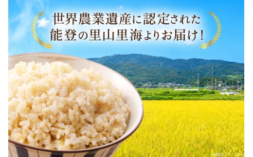 米 令和8年 コシヒカリ 玄米 30kg [農家にしの 石川県 宝達志水町 38601434] こしひかり お米 おこめ こめ コメ kome 玄米 ごはん ご飯 令和8年産 新米 げんまい