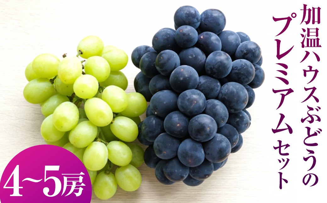 
            【先行予約】有機配合肥料使用 種なし 加温ハウスぶどう 4～5房 プレミアムセット 【2026年7月下旬より順次発送予定】 【春光園】 ぶどう ブドウ 葡萄 果物 フルーツ 詰め合わせ 福岡県 うきは市 冷蔵
          