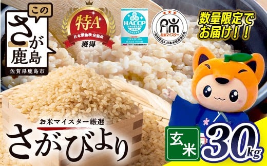 さがびより 令和7年産 玄米 30kg × 1袋  | ふるさと納税 米 お米 新米 精米 国産 佐賀県 鹿島市 ふるさと 人気 送料無料 F-10