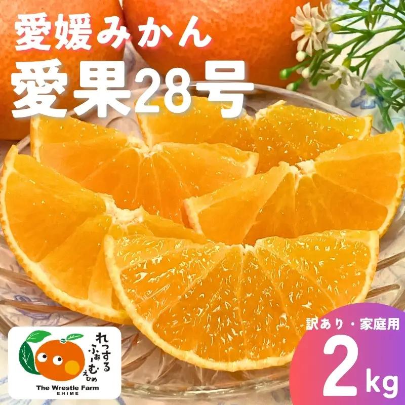 【2026年先行予約】みかん 愛媛県 愛果28号 2kg ご家庭用 訳あり レッスルファーム 紅まどんなと同一品種【2026年11月中旬下旬から順次発送予定】数量限定 おすすめ 美味しい おいしい グルメ フルーツ くだもの 愛媛県産 人気 柑橘 伊予市｜A104
