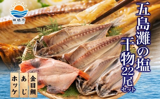 
                  干物詰め合わせ 計22尾セット （ あじ開き × 7尾 ・ ほっけ開き × 7尾 ・ 金目鯛開き × 8尾 ） 魚 魚介類 海鮮 おかず おつまみ 晩酌 酒の肴 食べ比べ 冷凍
                