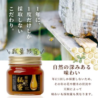 ふるさと納税 椎葉村 【秘境を味わう】椎葉の秘蜜 【250g×2本】国産天然はちみつ【数量限定】 MS-06 |  | 01
