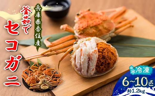 兵庫県香住産　釜茹でセコガニ6～10匹入り(約1.2kg)【配送不可地域：離島・北海道・沖縄県・東北・関東・九州】